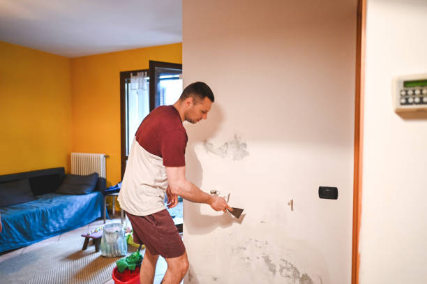 Best Mold Remediation for Schools in Oakbrook Terrace, IL